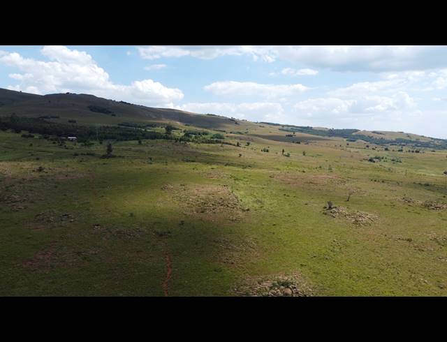 257HA FARM FOR SALE IN ROOSSENEKAL AH